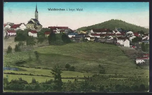 AK Waldkirchen /Bayr. Wald, Ortspanorama mit Wiesen und Berg