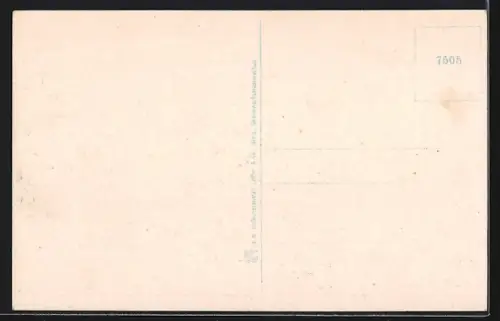 AK Unterkunftshaus Osser, Berghütte mit Besuchern aus der Vogelschau