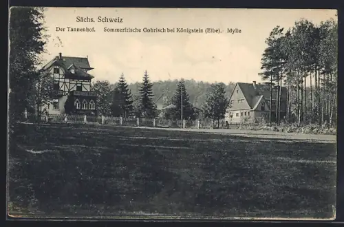 AK Gohrisch bei Königstein, Der Tannenhof, Panorama
