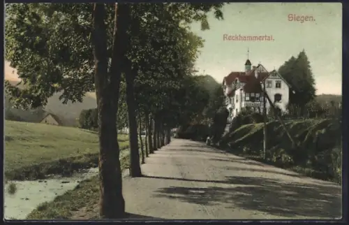 AK Siegen, Reckhammertal, Strassenpartie mit Villa und Graben
