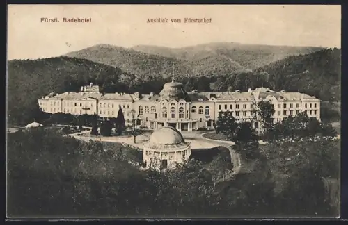 AK Bad Wildungen, Fürstl. Badehotel vom Fürstenhof aus