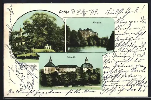 AK Gotha, Schloss, Museum, Albrechtsbuche