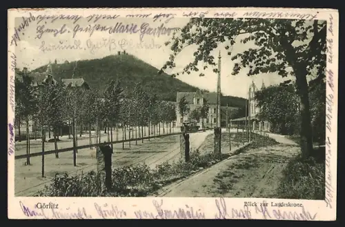 AK Görlitz, Strassenpartie mit Strassenbahn und Blick zur Landeskrone