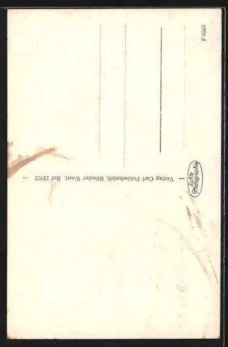 AK Münster /Westf., Erbdrostenhof