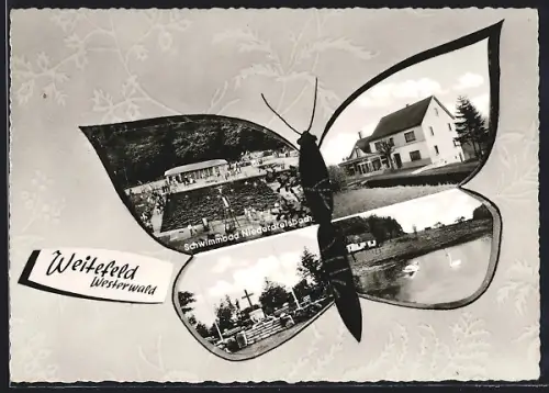 AK Weitefeld /Westerwald, Kaufhaus Walter Tielmann, Betzdorferstrasse 16, Grabmal und Niederdreisbach Schwimmbad