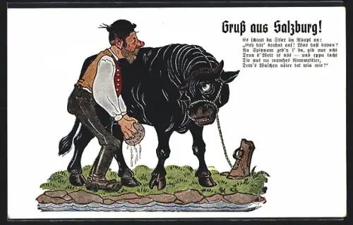 AK Salzburg, Es schaut der Stier ön Rüapl an..., Salzburger wäscht einen Stier mit Schwamm