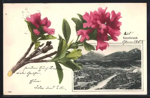 AK Innsbruck, Gesamtansicht