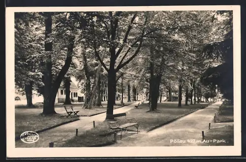 AK Pöllau, Wegpartie im Au-Park
