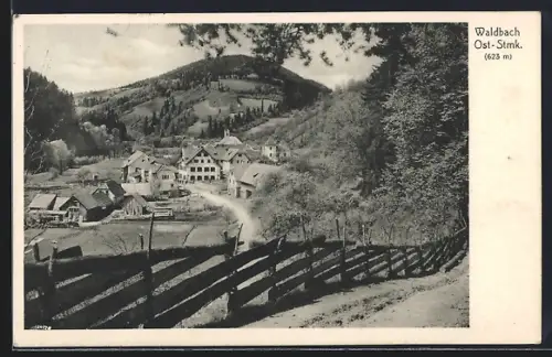 AK Waldbach /Ost.-Stmk., Ortspartie mit Zaun