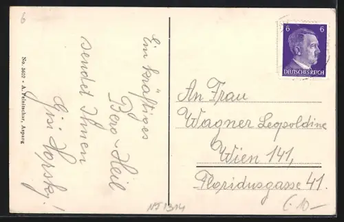 AK Waldbach /Ost.-Stmk., Ortspartie mit Zaun