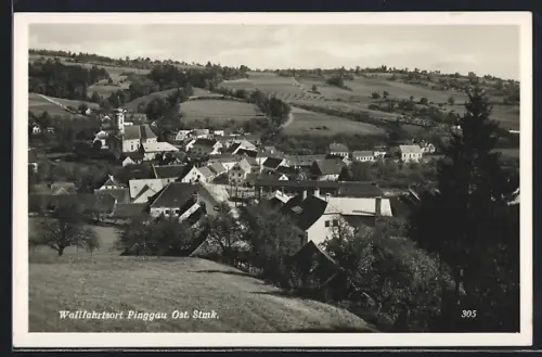AK Pinggau /Stmk., Totalansicht