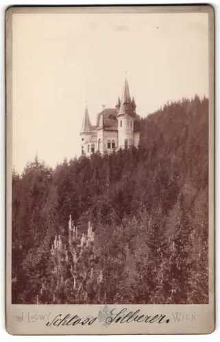Fotografie J. Löwy, Wien, Weihburggasse 31, Ansicht Semmering, Blick nach Schloss Silberer