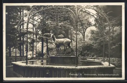 AK Freiburg i. B., Rehbrunnen, Gunterstalwaldstrasse