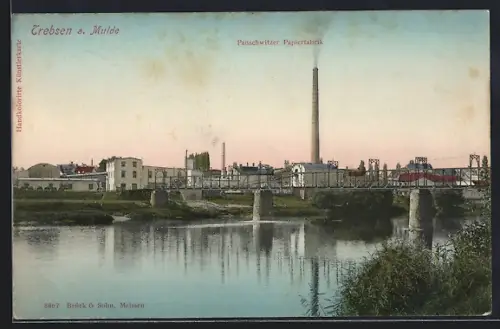 AK Trebsen /Mulde, Panschwitzer Papierfabrik