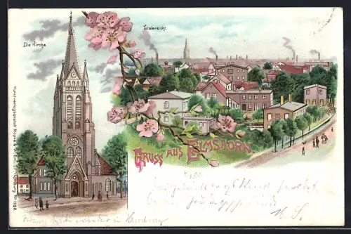 Lithographie Elmshorn, Kirche, Ortsansicht aus der Vogelschau