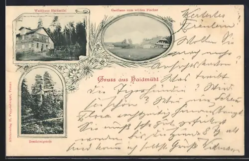 AK Haidmühl, Gasthaus zum wilden Fischer, Waldhaus Haidmühl, Dreikönigstein