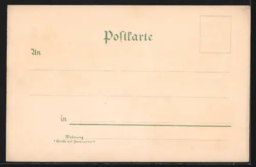 Lithographie Gunzen b. Schöneck, Gasthof, Ortsansicht aus der Vogelschau