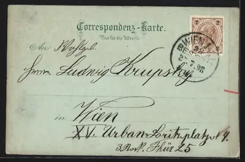 Mondschein-Lithographie Waidhofen, Mariensäule am ob. Stadtplatz, Partie a. d. Ybbs, Ortsansicht