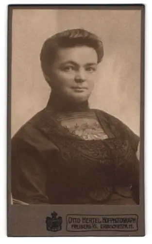 Fotografie Otto Hertel, Freiberg, Erbischestr. 11, Portrait einer Dame