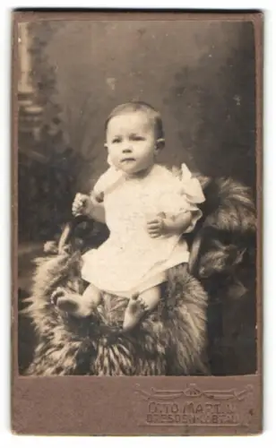 Fotografie Otto Martin, Dresden, Reisewitzerstr. 18, Porträt eines Kleinkindes