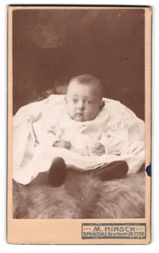 Fotografie M. Hirsch, Spandau, Breitestrasse 26, Baby in weissem Kleid