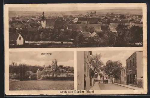 AK Rieder /Harz, Roseburg, Strassenpartie und Gesamtansicht