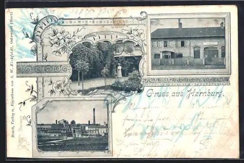 AK Hornburg / Harz, Fabrikgelände, Gartenpartie und Geschäft