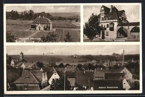 AK Salzmünde, Gesamtansicht, Saatzucht & Rathaus