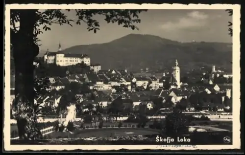 AK Skofja Loka, Panorama