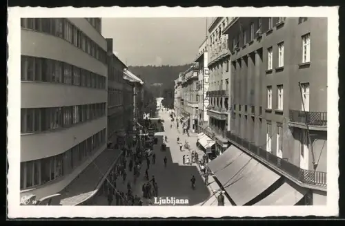 AK Ljubljana, Panorama