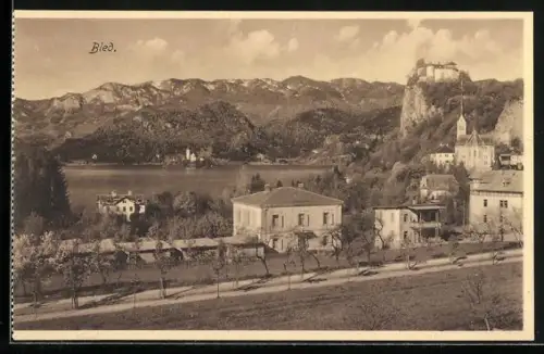 AK Bled, Panorama