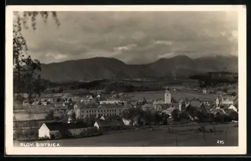 AK Slov. Bistrica, Panorama