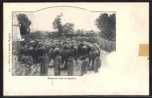 AK Ayuthia, Elephant hunt