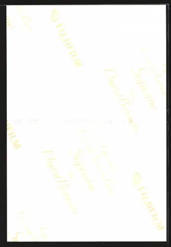 AK Anne Kasprik lächelt, Autograph