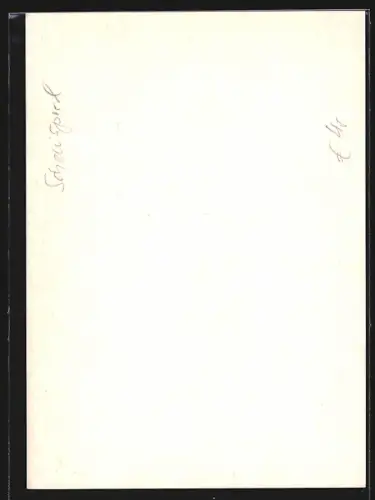 AK Uschi Glas in roter Bluse, Autograph