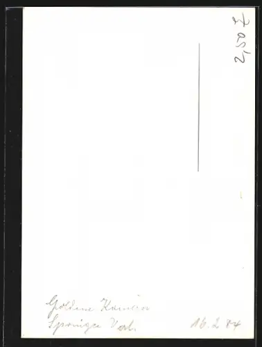 AK Horst Bollmann, Portrait, Autograph, 1984