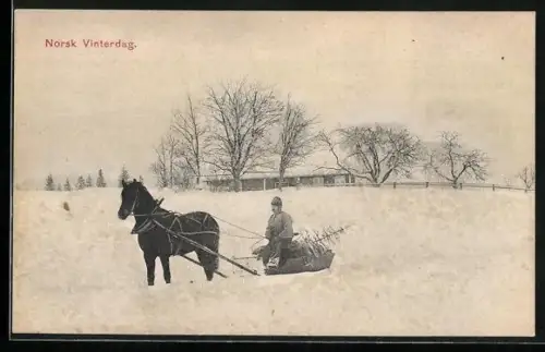 Glitzer-Perl-AK Mann mit Pferdeschlitten im glitzernden Schnee, Norsk Vinterdag