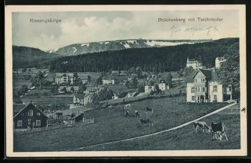 AK Brückenberg, Ortsansicht mit Teichränder