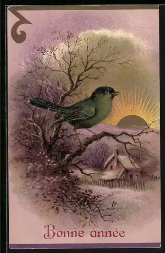 AK Kleiner grüner Vogel sieht den Sonnenuntergang von einem Ast aus