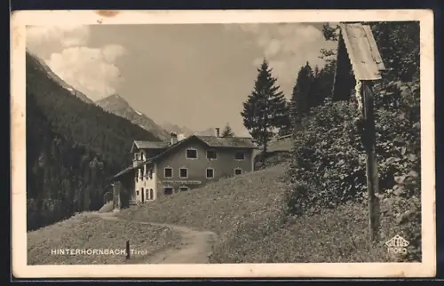 AK Hinterhornbach /Tirol, Gasthaus-Pension zur Alpenrose mit Weg und Bergspitzen, Bildstock