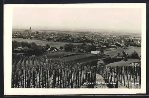 AK Ollersdorf /Niederdonau, Gesamtansicht von einem Weinberg aus