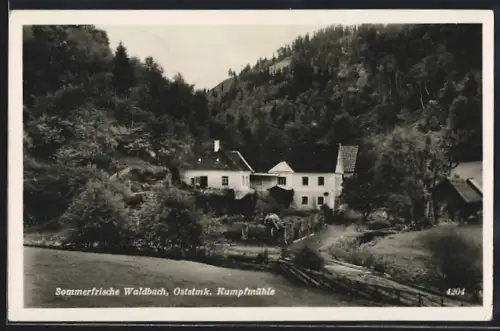 AK Waldbach, Häuseransicht im Grünen