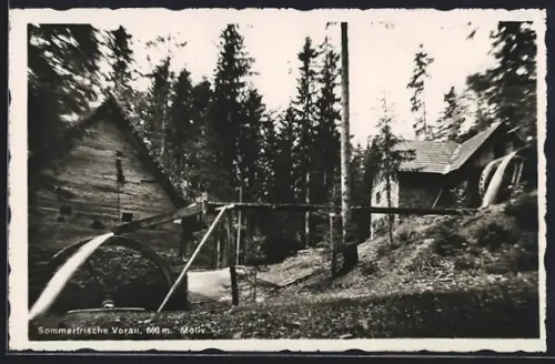AK Vorau, Ansicht Sommerfrische mit Unterkünften