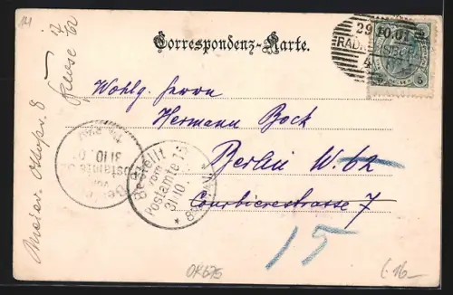 AK Radkersburg a. d. Mur, Uferpartie