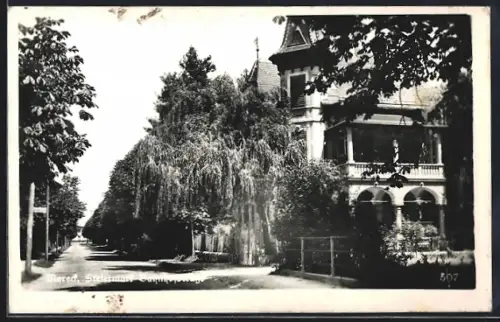AK Mureck /Steiermark, Bahnhofstrasse mit Bäumen
