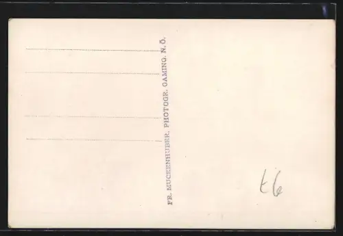 AK Gaming /N. Ö., Teilansicht mit Strassenpartie