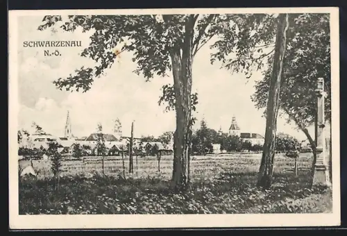 AK Schwarzenau /N.-Oe., Partie am Ortsrand