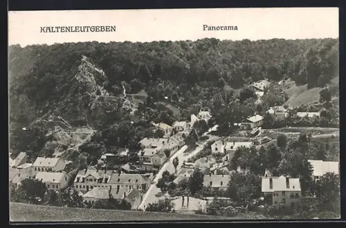AK Kaltenleutgeben, Panorama mit Strassenpartie