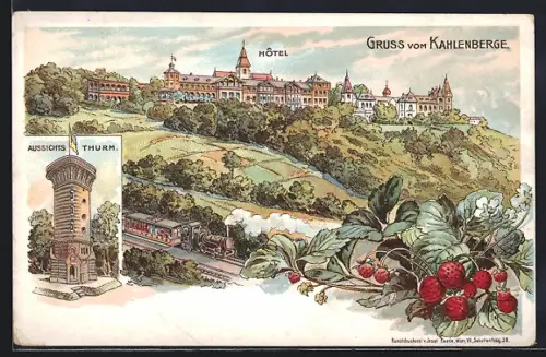 Lithographie Kahlenberg, Hôtel und Aussichtsturm