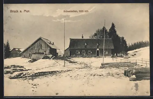 AK Bruck a. Mur, Gaststätte Schweizeben im Schnee, Inh. Leopold Ganzer
